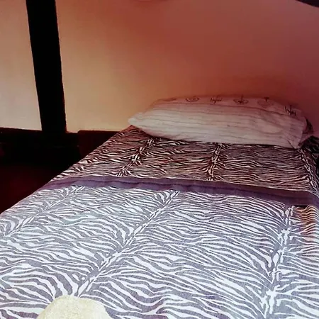 Large 3 Flat Rialto ונציה